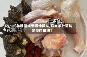 【羊肚菌炖汤最佳做法,鸡肉羊肚菌炖汤最佳做法】