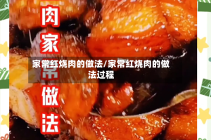 家常红烧肉的做法/家常红烧肉的做法过程