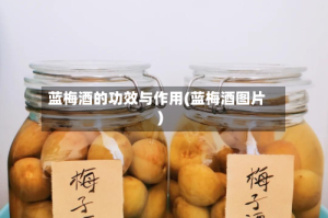 蓝梅酒的功效与作用(蓝梅酒图片)
