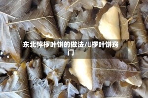 东北悖椤叶饼的做法/桲椤叶饼窍门