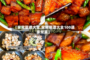 【家常菜谱大全,家常菜谱大全100道家常菜】