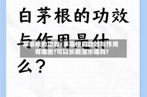 茅草根的功效/茅草根的功效与作用有哪些?可以长期泡水喝吗?