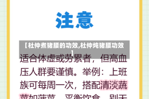 【杜仲煮猪腰的功效,杜仲炖猪腰功效】