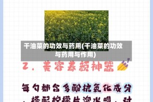 干油菜的功效与药用(干油菜的功效与药用与作用)