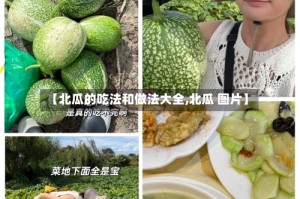 【北瓜的吃法和做法大全,北瓜 图片】