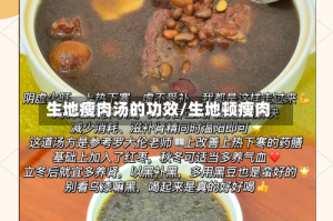 生地瘦肉汤的功效/生地顿瘦肉