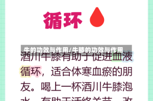 牛的功效与作用/牛膝的功效与作用
