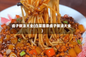 卤子做法大全(白菜面条卤子做法大全)