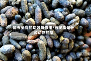 醋五灵脂的功效与作用/五灵脂是什么动物的屎