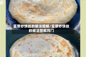 豆芽炒饼丝的做法图解/豆芽炒饼丝的做法图解窍门