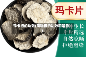 玛卡根的功效(玛咖根的功效和禁忌)