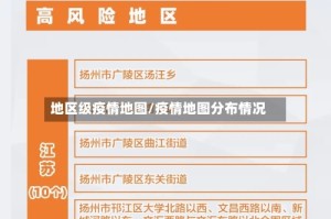 地区级疫情地图/疫情地图分布情况