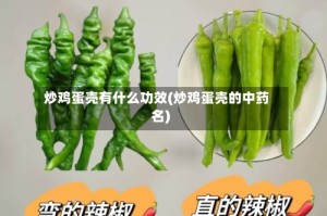 炒鸡蛋壳有什么功效(炒鸡蛋壳的中药名)