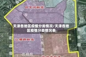 天津各地区疫情分类情况/天津各地区疫情分类情况表
