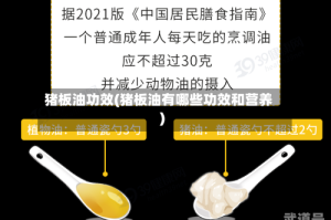 猪板油功效(猪板油有哪些功效和营养)