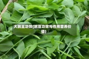 大豌豆功效(豌豆功效与作用营养价值)
