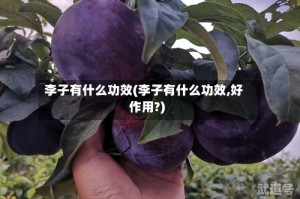 李子有什么功效(李子有什么功效,好作用?)