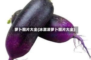 萝卜图片大全(冰激凌萝卜图片大全)
