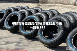 邓禄普轮胎费用/邓禄普轮胎费用表一览表215