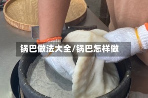 锅巴做法大全/锅巴怎样做