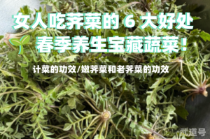计菜的功效/嫩荠菜和老荠菜的功效