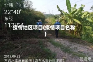 疫情地区项目(疫情项目名称)