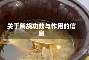 关于鹧鸪功效与作用的信息