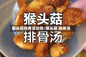 猴头菇排骨汤功效/猴头菇 排骨汤