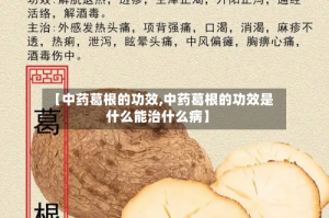 【中药葛根的功效,中药葛根的功效是什么能治什么病】