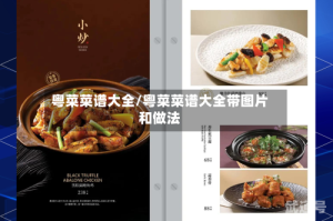 粤菜菜谱大全/粤菜菜谱大全带图片和做法