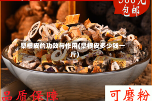 桑根皮的功效与作用(桑根皮多少钱一斤)
