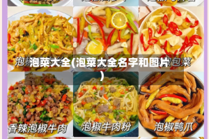 泡菜大全(泡菜大全名字和图片)