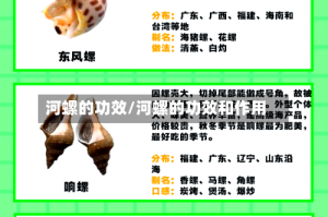 河螺的功效/河螺的功效和作用