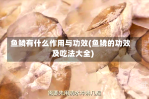 鱼鳞有什么作用与功效(鱼鳞的功效及吃法大全)