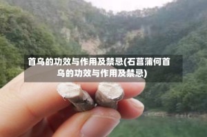 首乌的功效与作用及禁忌(石菖蒲何首乌的功效与作用及禁忌)