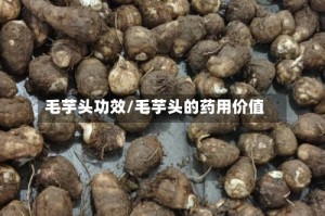 毛芋头功效/毛芋头的药用价值