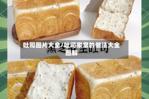 吐司图片大全/吐司家常的做法大全图解