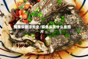蝶鱼头做法大全/蝶鱼头是什么鱼图片