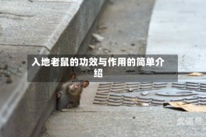入地老鼠的功效与作用的简单介绍