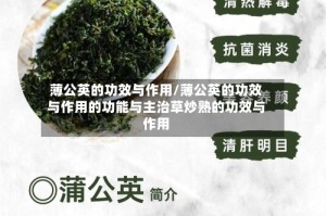 薄公英的功效与作用/薄公英的功效与作用的功能与主治草炒熟的功效与作用