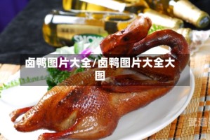 卤鸭图片大全/卤鸭图片大全大图