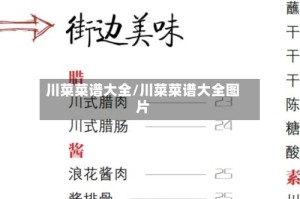 川菜菜谱大全/川菜菜谱大全图片