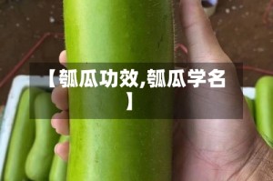 【瓠瓜功效,瓠瓜学名】
