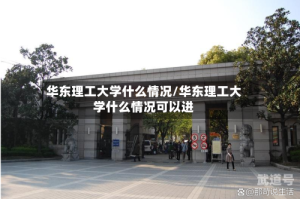 华东理工大学什么情况/华东理工大学什么情况可以进