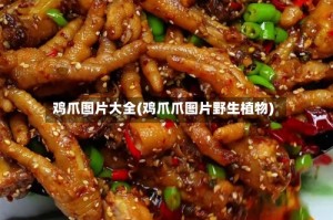 鸡爪图片大全(鸡爪爪图片野生植物)