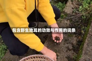 包含野生地耳的功效与作用的词条