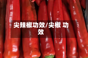 尖辣椒功效/尖椒 功效