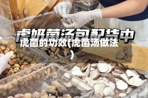 虎菌的功效(虎菌汤做法)