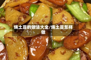 烧土豆的做法大全/烧土豆怎样做