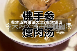 参丝汤的做法大全(参丝煲汤)